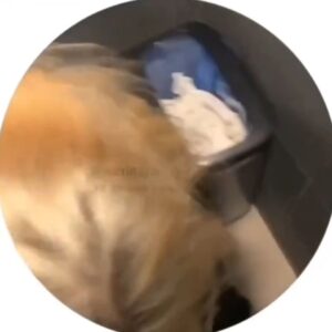 Соня Кент